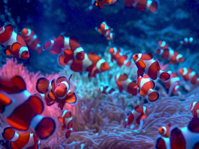 Coral Communications photo 1