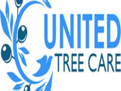 United Tree Care LLC photo 4