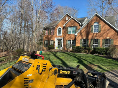 United Tree Care LLC photo 1