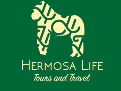 Hermosa Life Tours & Travel photo 1