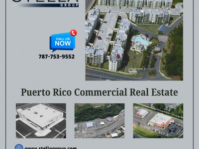 Stella Management Group, Inc.  photo 7