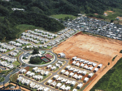Stella Management Group, Inc.  photo 9