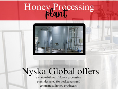 Nyska Global photo 1