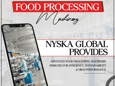 Nyska Global photo 3