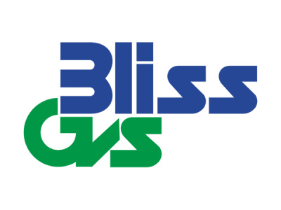 Bliss GVS Pharma Ltd. photo 1