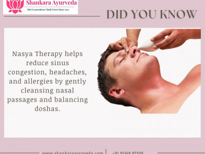 Shankara Ayurveda photo 1