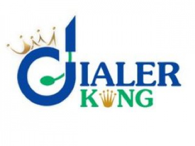 Dialerking Technology photo 2