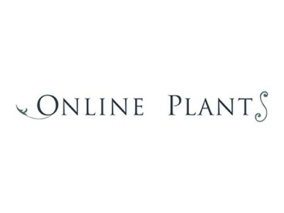 Online Plants photo 1