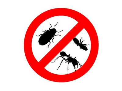 Pest Control Huntington NY photo 1