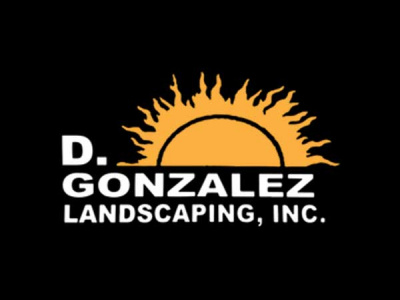 D Gonzalez Landscaping photo 1