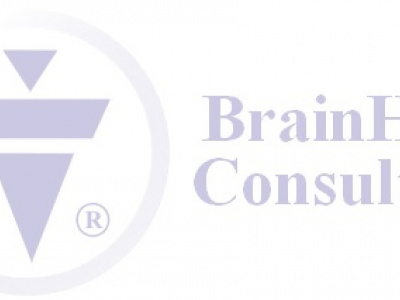 BrainHive Consulting photo 1