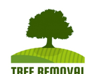 Tree Removal Austin photo 1