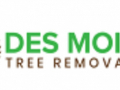 Des Moines Tree Removal photo 1