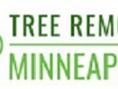 Tree Removal Minneapolis photo 1