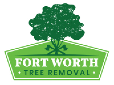 Fort Worth Tree Removal photo 1