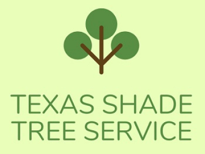 Texas Shade Tree Service photo 1