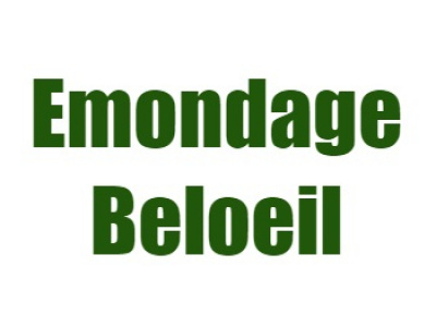 Emondage Beloeil photo 1