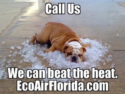 Eco Air Systems photo 2