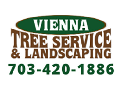 Vienna Tree Service & Landscaping photo 1