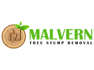 Stump Removal Malvern photo 2