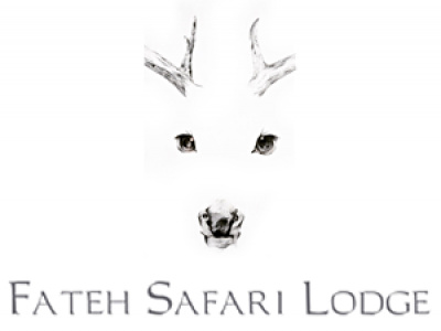 Fateh Safari Lodge photo 1
