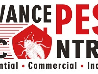 Advance Pest Control Vancouver photo 1