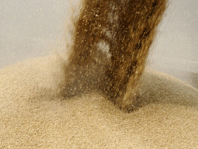 ALBERTA GRAIN HUB photo 2