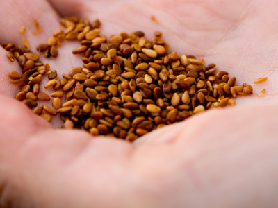 ALBERTA GRAIN HUB photo 5