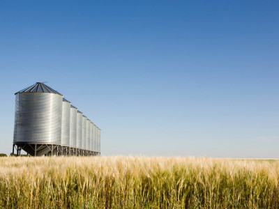 ALBERTA GRAIN HUB photo 6