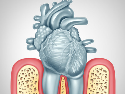 Holistic Dental Melbourne CBD photo 4