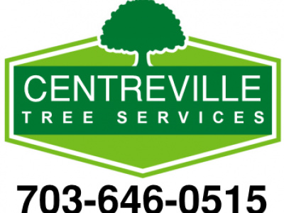 Centreville Tree Services photo 2