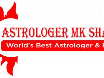 Love Vashikaran Specialist-Astrologermkshastri photo 1