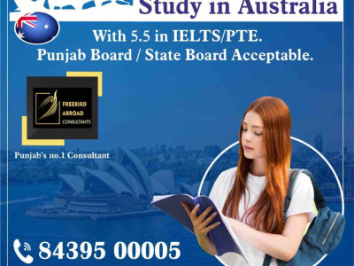 Best Tourist Visa Consultants in Chandigarh photo 1