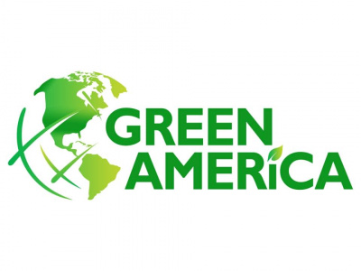 Green America Tree & Landscaping photo 2