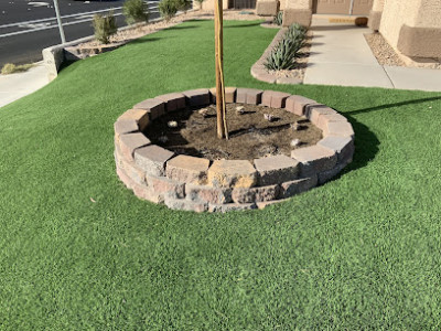 Green America Tree & Landscaping photo 1