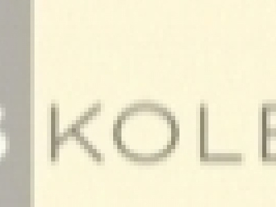 Kolb Designs Landscape Architects photo 1