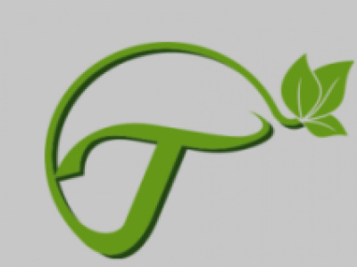 Thanush Infosolutions photo 1