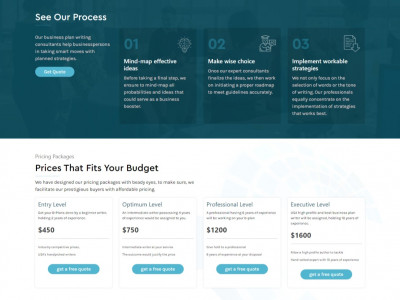 BPlanWriters - 360-Degree Business Plan Solutions photo 1