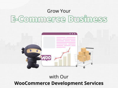 Wordpress Website Development Services in India photo 3