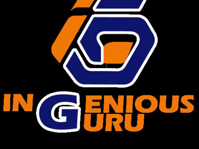 Ingenious Guru photo 5