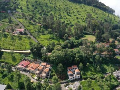 Coonoor Estates photo 1