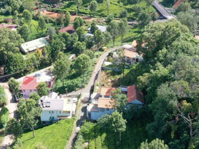 Coonoor Estates photo 2