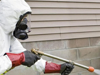 Active Pest Control Management photo 1