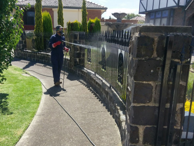 Protech Pest Control photo 1
