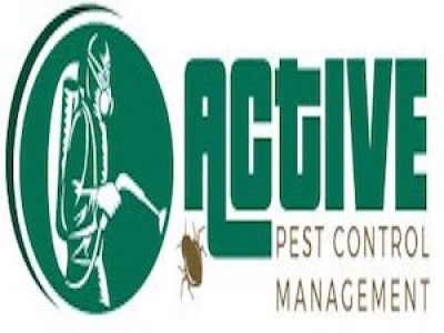 Active Pest Control Management photo 4