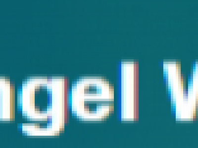 Angel Wealth photo 1