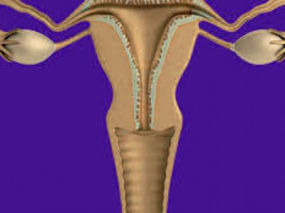 Susrutha Medical Center photo 1