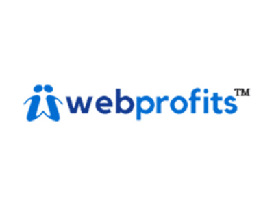 WebProfits - Web Development and SEO company in India photo 1