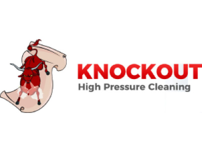 Knockout High Pressure Cleaning photo 4