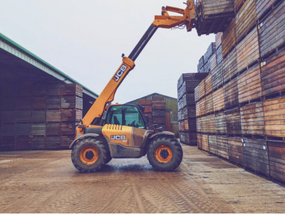Marmoom Manpower supplier in UAE  photo 3